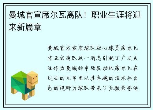 曼城官宣席尔瓦离队！职业生涯将迎来新篇章