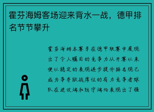 霍芬海姆客场迎来背水一战，德甲排名节节攀升